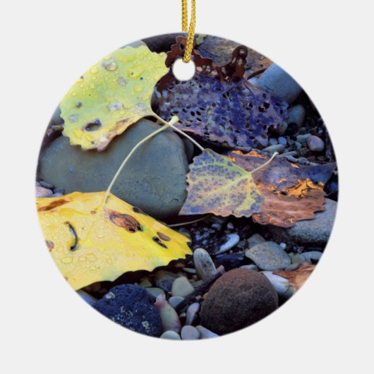 Leaf of Fremont cottonwood on flood plain Keramik Ornament (Vorne)