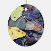 Leaf of Fremont cottonwood on flood plain Keramik Ornament (Links)