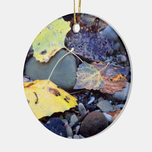 Leaf of Fremont cottonwood on flood plain Keramik Ornament (Links)