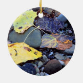 Leaf of Fremont cottonwood on flood plain Keramik Ornament (Hinten)