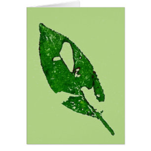 "Leaf on Green" - Ländergrün