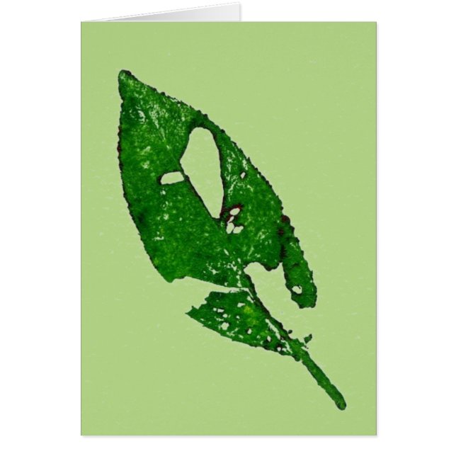 "Leaf on Green" - Ländergrün (Vorne)