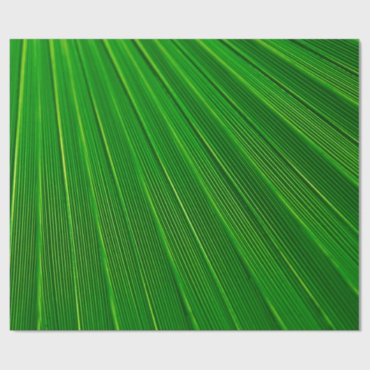 Leaf Pflanze Grünpalme Geschenkpapier (Flach)