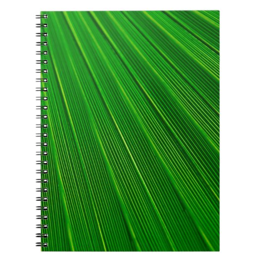 Leaf Pflanze Grünpalme Notizblock (Vorderseite)