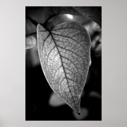 Leaf Poster (Vorne)