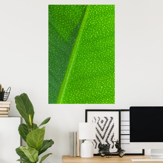 Leaf Poster (Heimbüro)