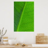 Leaf Poster (Küche)