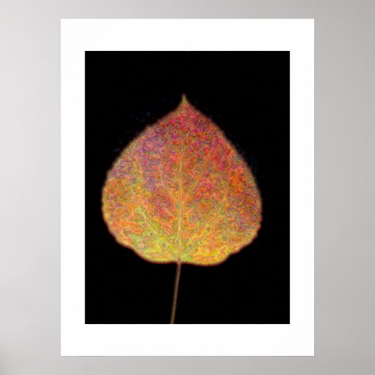 Leaf Poster (Vorne)