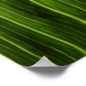 Leaf Poster (Ecke)