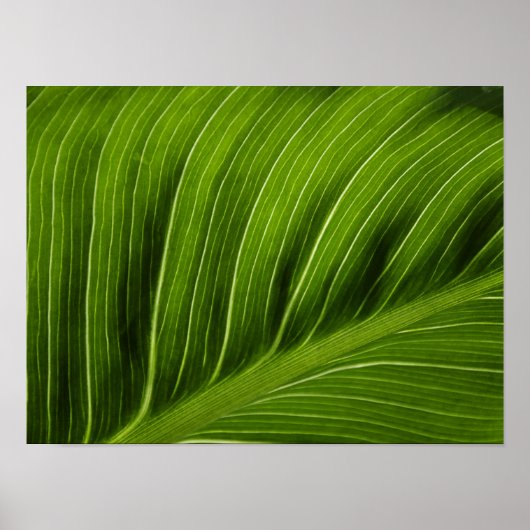 Leaf Poster (Vorne)