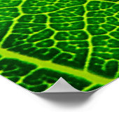 Leaf Poster (Ecke)