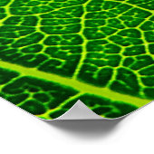 Leaf Poster (Ecke)
