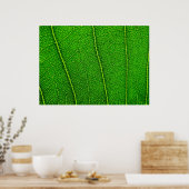 Leaf Poster (Küche)