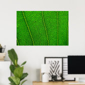 Leaf Poster (Heimbüro)