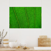 Leaf Poster (Küche)