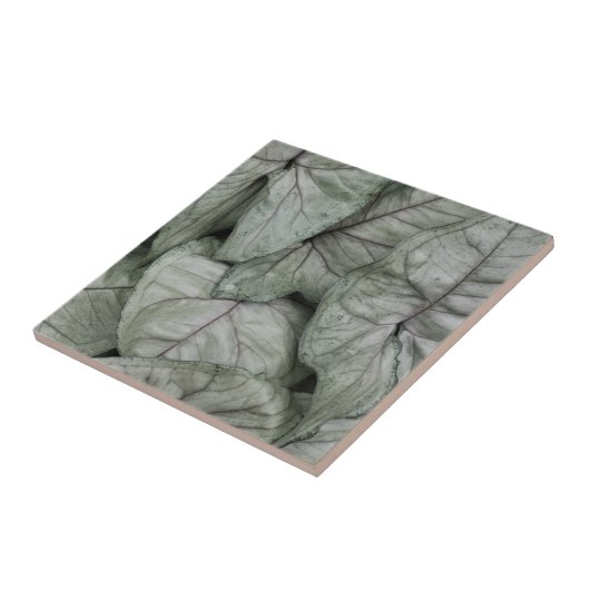 Leaf Print Fliese (Seite)