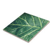 Leaf Print Fliese (Seite)