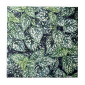 Leaf Print Fliese (Vorderseite)