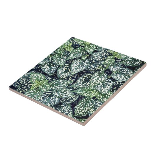 Leaf Print Fliese (Seite)