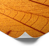 Leaf Print Poster (Ecke)