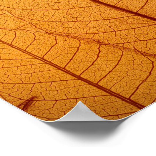 Leaf Print Poster (Ecke)