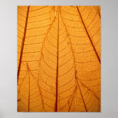 Leaf Print Poster (Vorne)