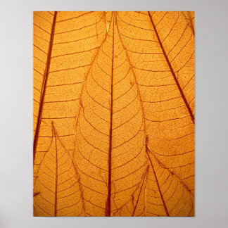 Leaf Print Poster