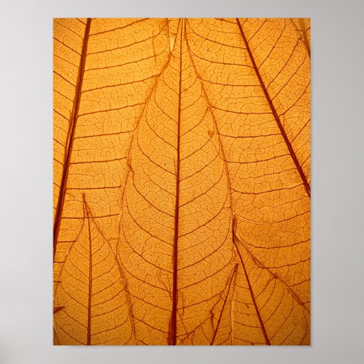 Leaf Print Poster (Vorne)