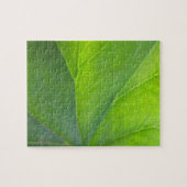Leaf Puzzle (Horizontal)