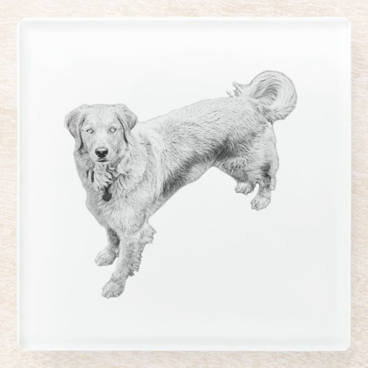 Leaf-Season Sentinel Glasuntersetzer (Vorderseite)