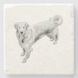 Leaf-Season Sentinel Steinuntersetzer