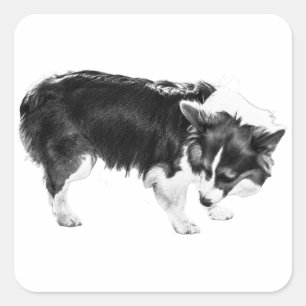 Leaf-Shadow Nosework Quadratischer Aufkleber