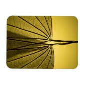 Leaf Skeleton Magnet (Horizontal)