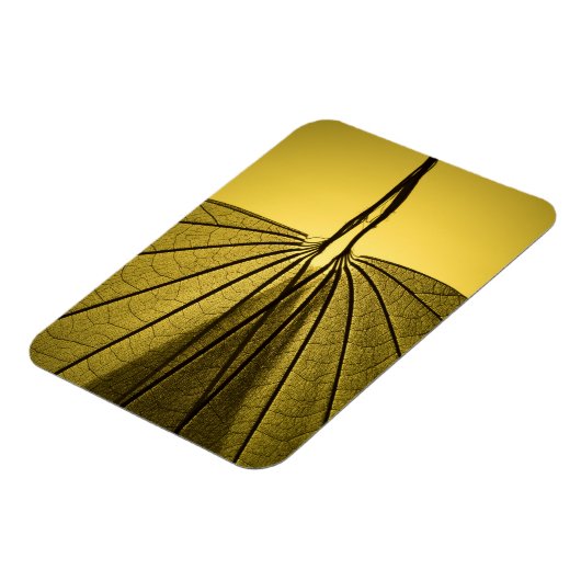 Leaf Skeleton Magnet (Linke Seite)
