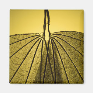 Leaf Skeleton Magnet