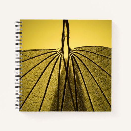 Leaf Skeleton Notizblock (Vorderseite)