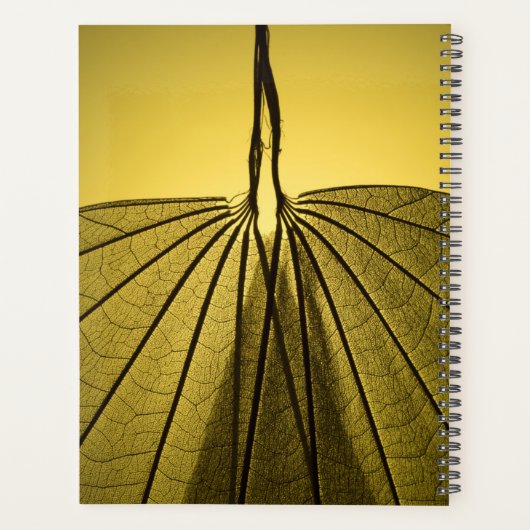 Leaf Skeleton Planer (Rückseite)