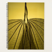 Leaf Skeleton Planer (Vorderseite)