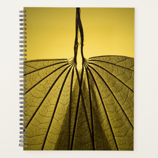 Leaf Skeleton Planer (Vorderseite)