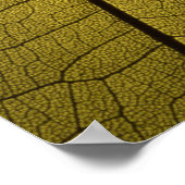 Leaf Skeleton Poster (Ecke)