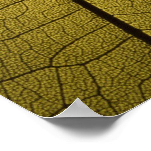 Leaf Skeleton Poster (Ecke)