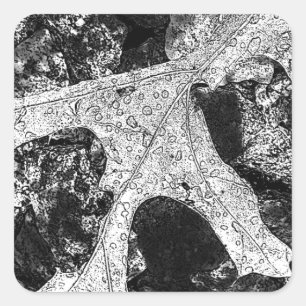 Leaf Sketch Zeichnend Quadratischer Aufkleber
