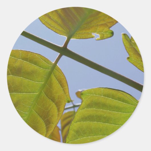 Leaf Stickers (Vorderseite)