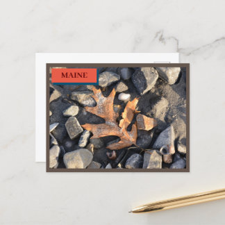 Leaf Stones Muscheln Seapoint Beach Maine Nature Postkarte