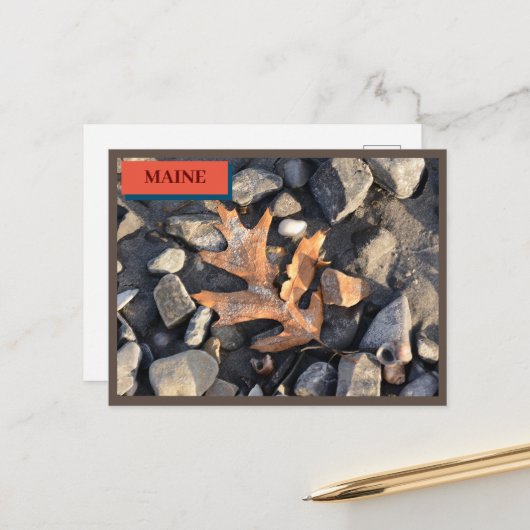 Leaf Stones Muscheln Seapoint Beach Maine Nature Postkarte (Vorderseite/Rückseite Beispiel)