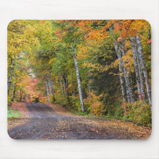 Leaf-Straße mit Herbstfarbe Mousepad (Vorne)