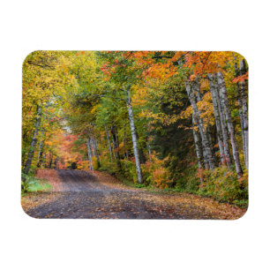 Leaf Streckenschotterstraße mit Herbstfarbe Magnet