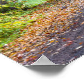 Leaf Streckenschotterstraße mit Herbstfarbe Poster (Ecke)
