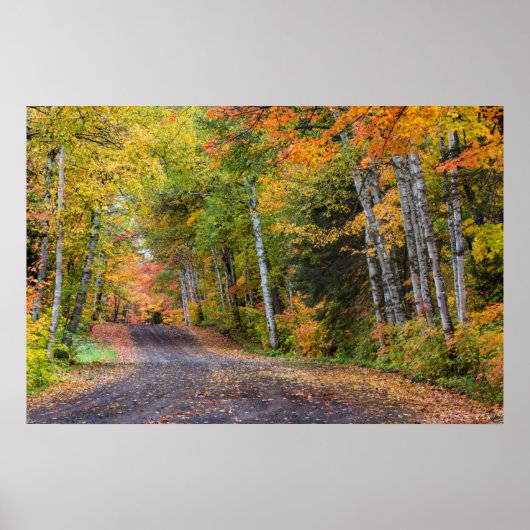 Leaf Streckenschotterstraße mit Herbstfarbe Poster (Vorne)