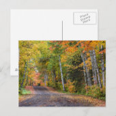 Leaf Streckenschotterstraße mit Herbstfarbe Postkarte (Vorne/Hinten)